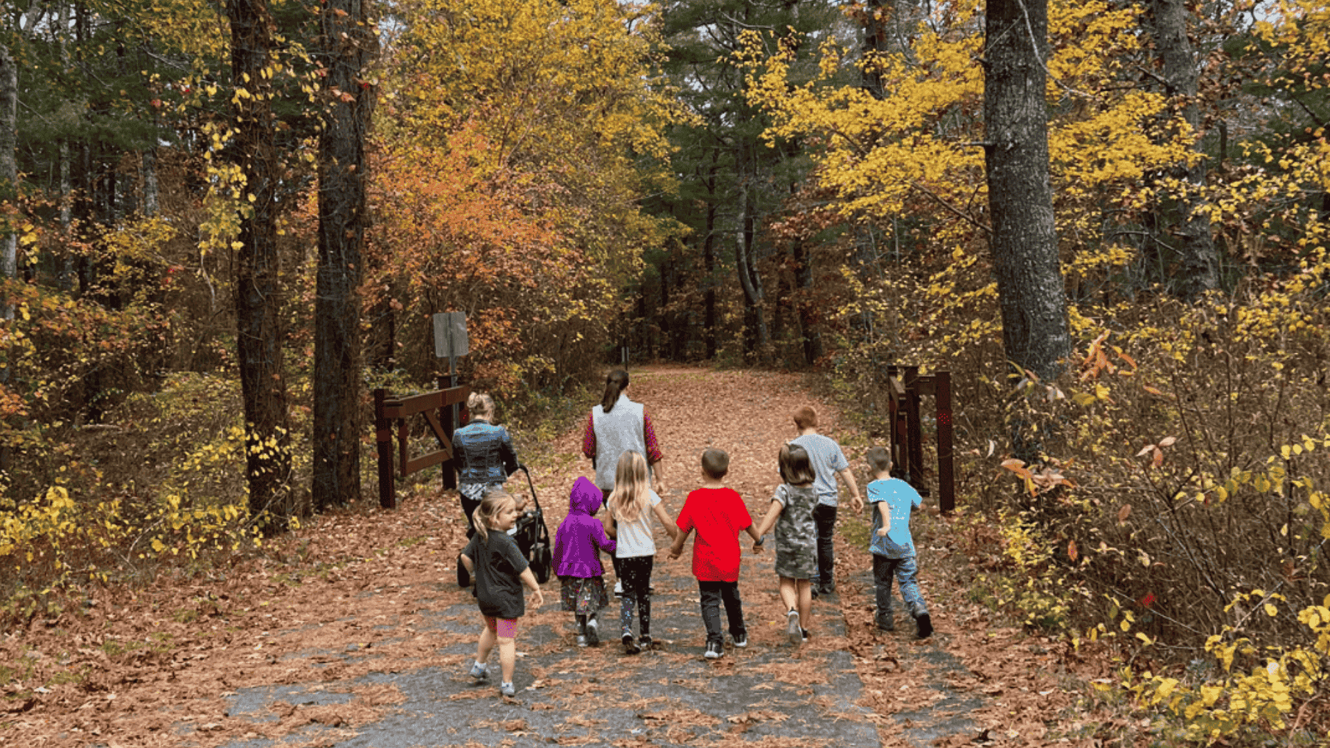 autumn activity