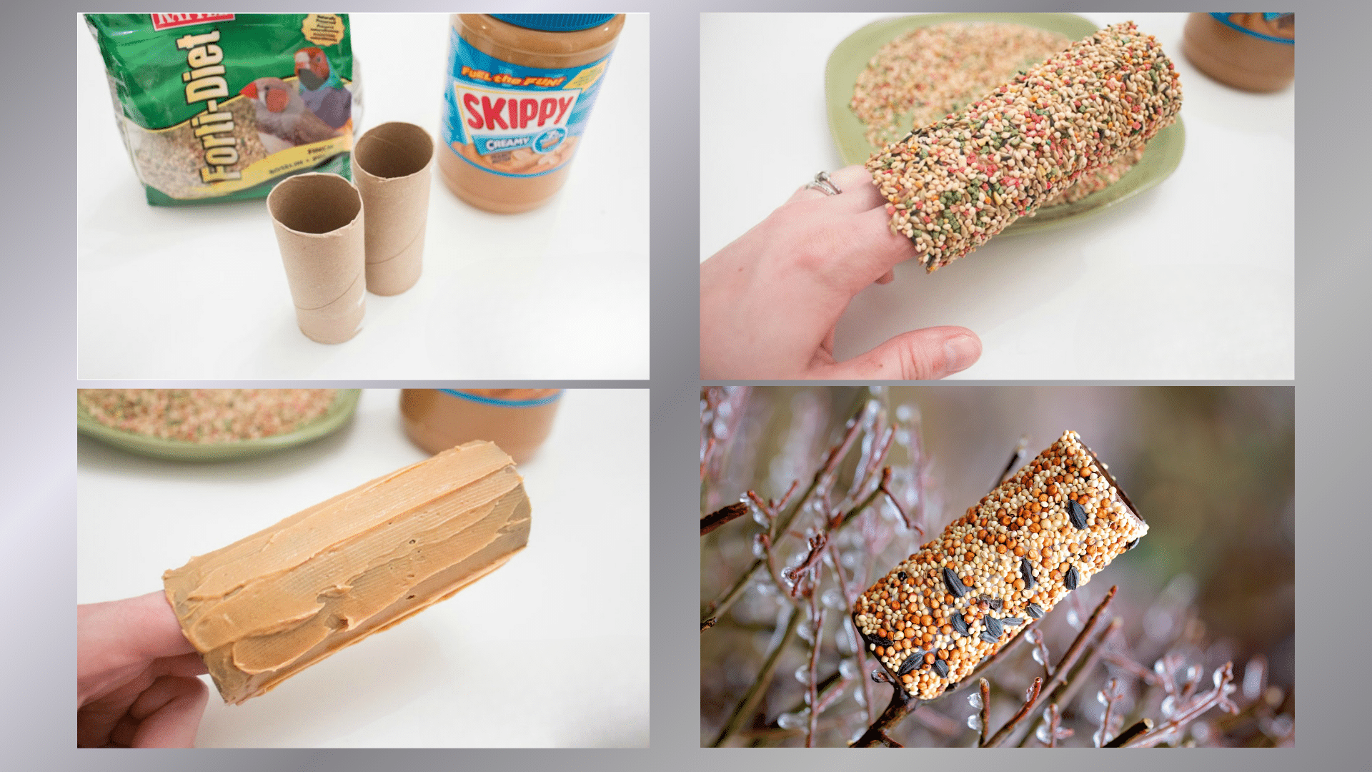 bird feeder