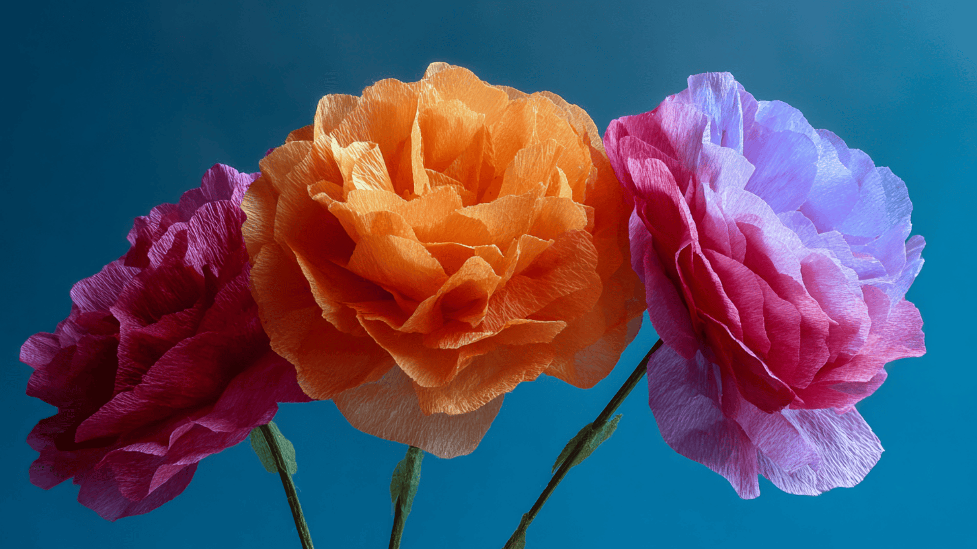 blooming paper flowers