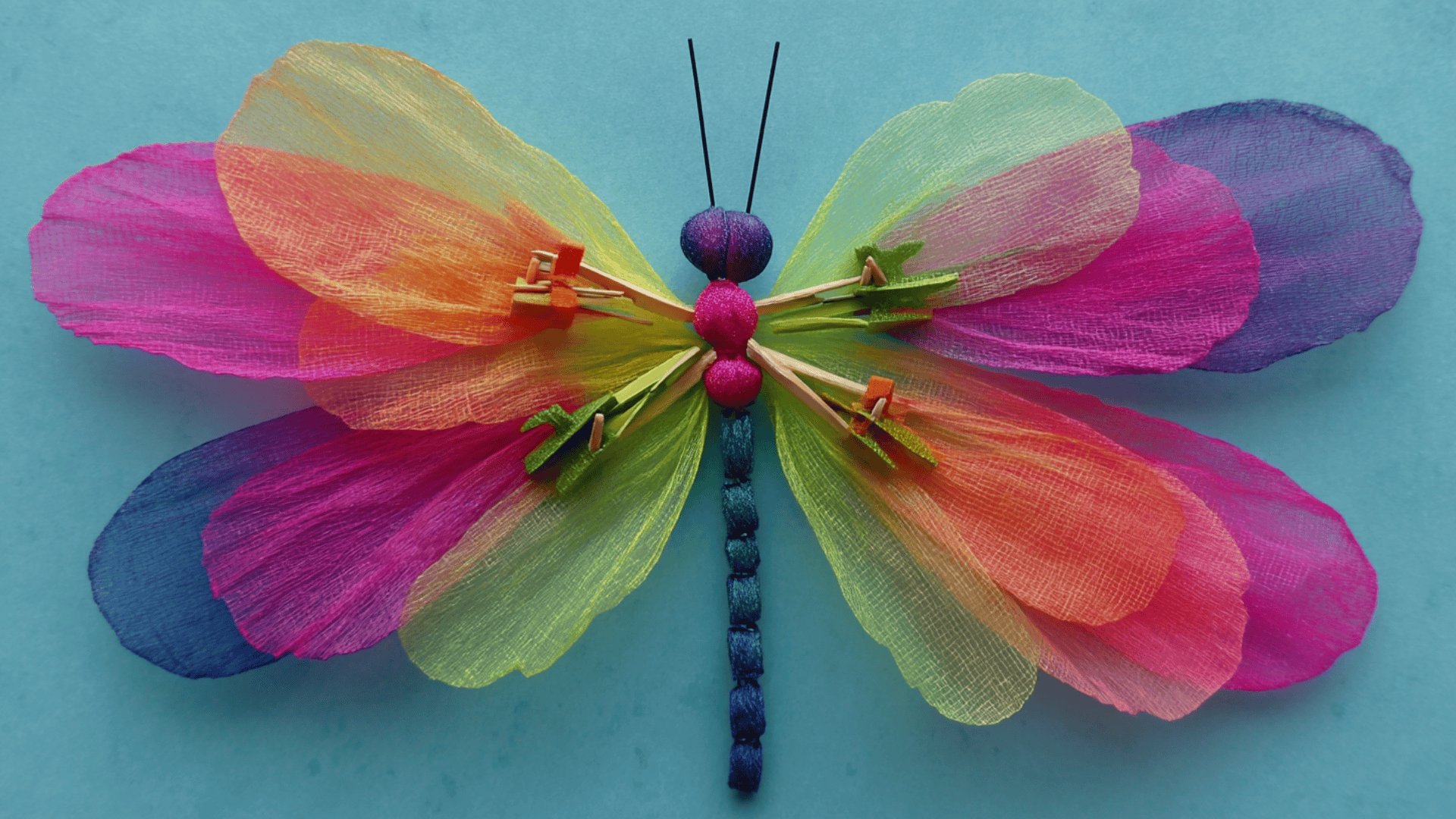 bright dragonfly wings