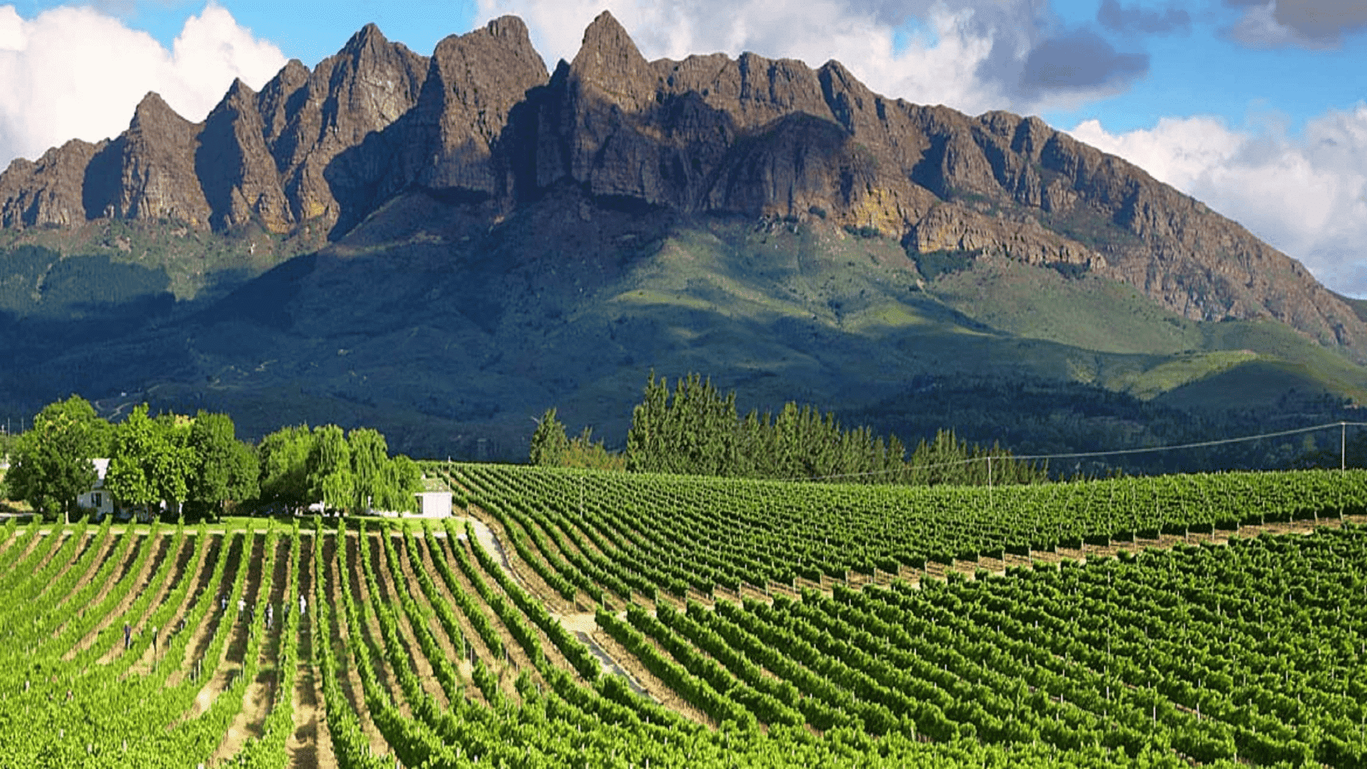 cape winelands south africa babymoon destination