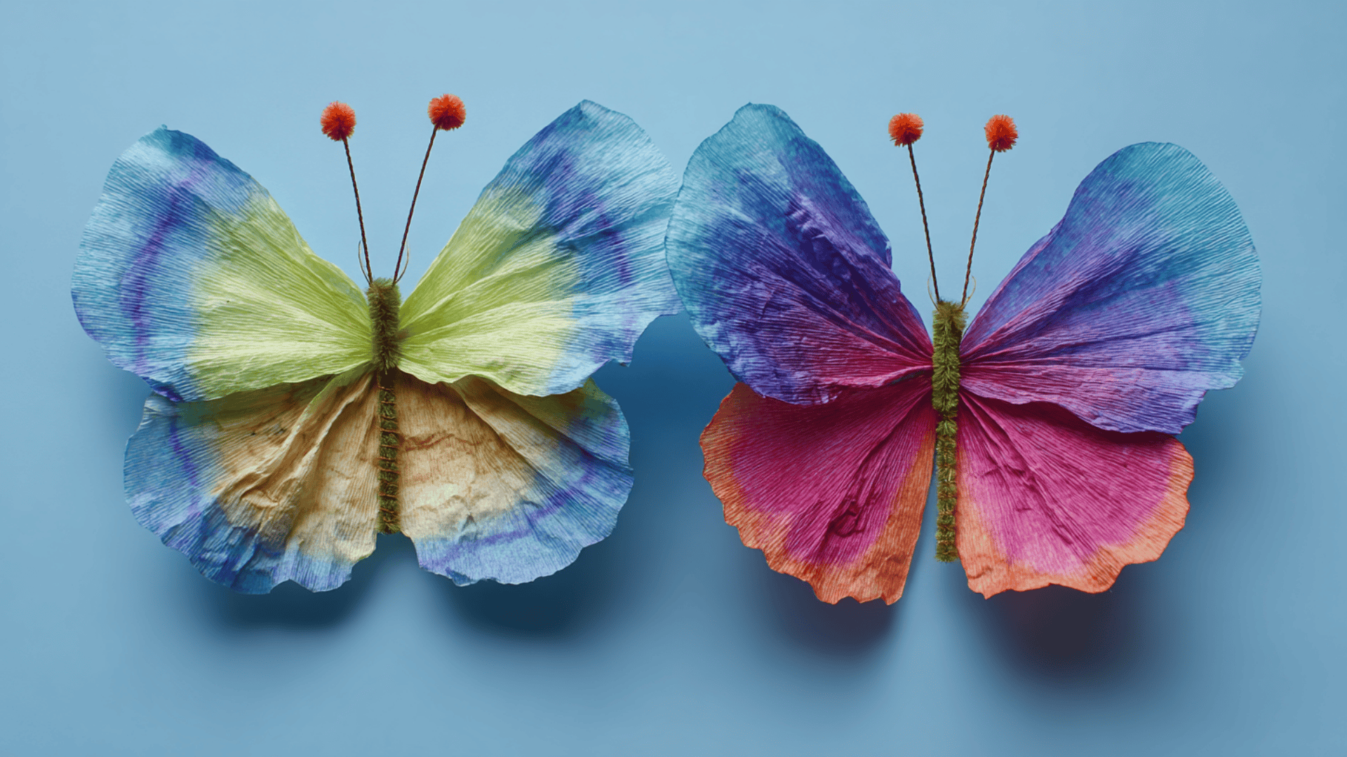 colorful winged butterflies