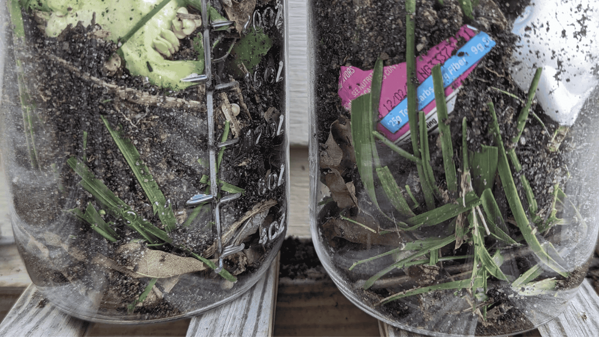 compost jar experiment