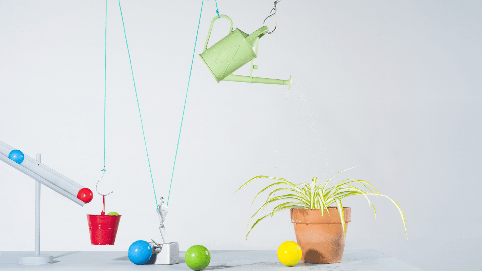 creative rube goldberg ideas