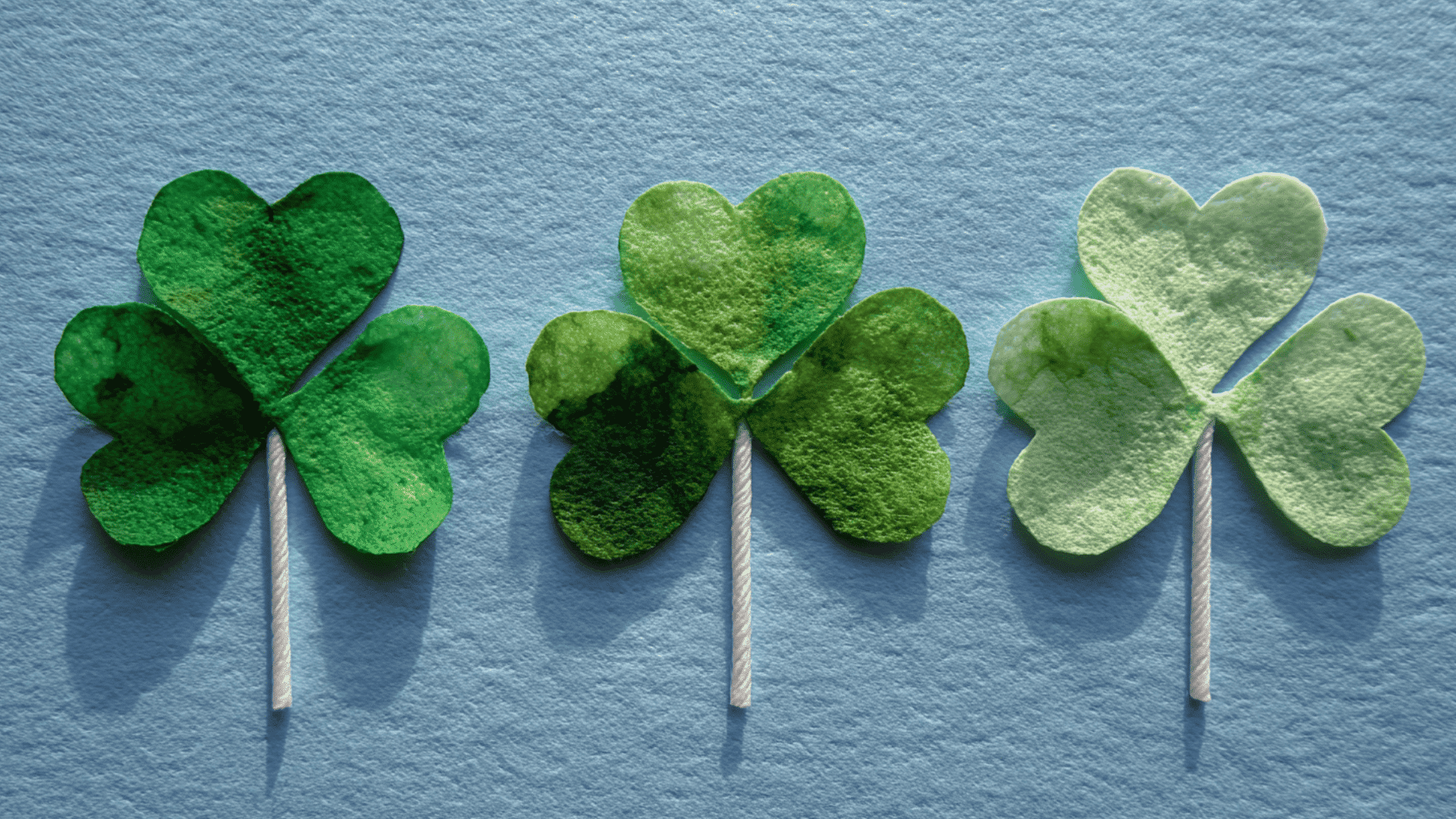 green shamrock leaves