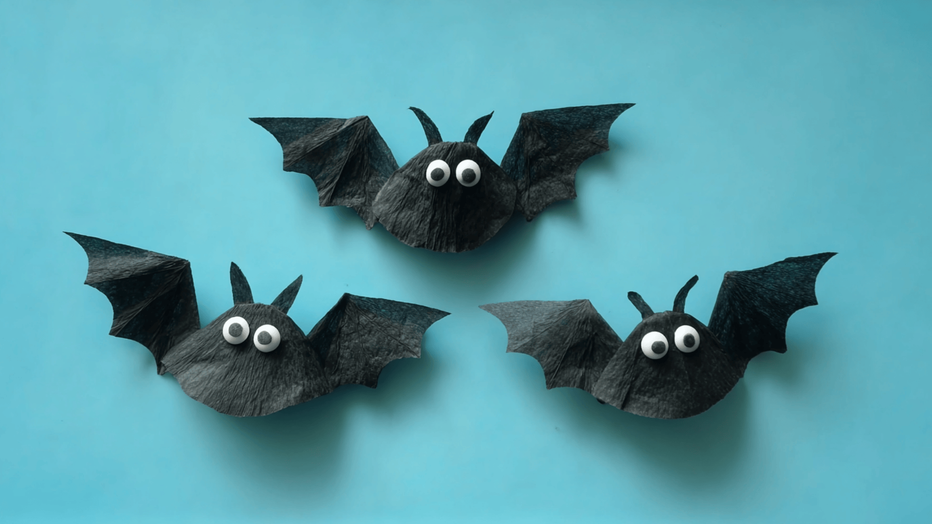 hanging black bats