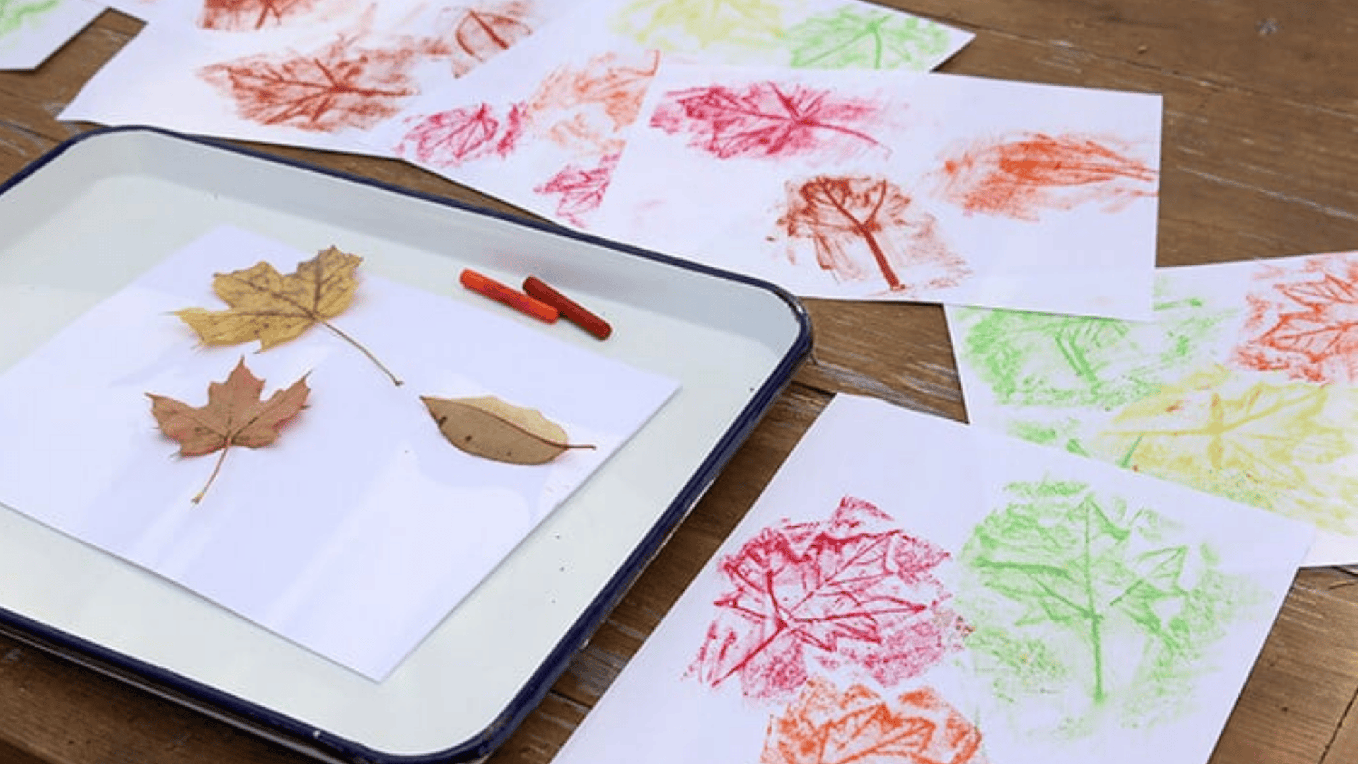 leaf rubbings
