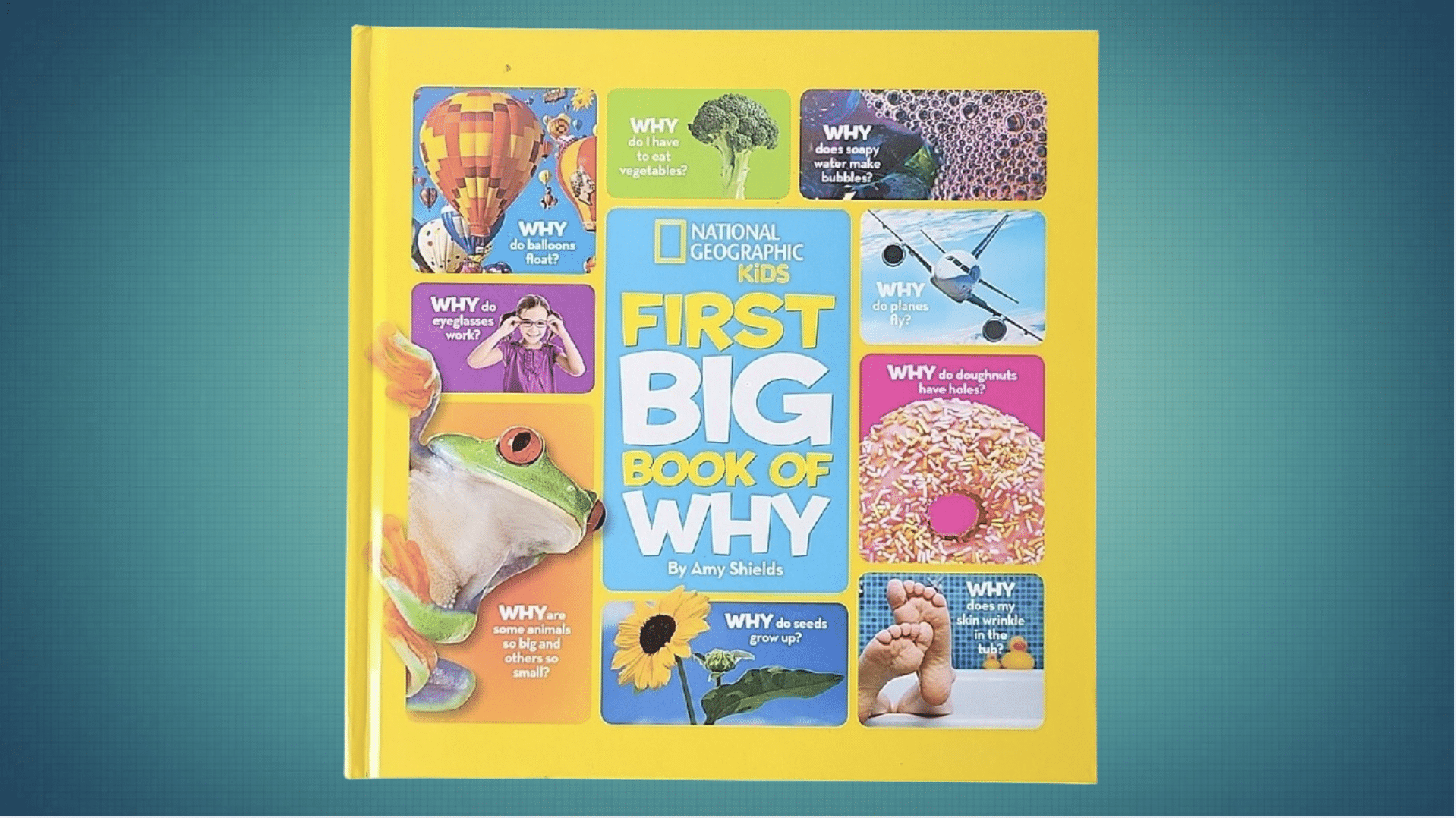 national geographic little kids first big book of why