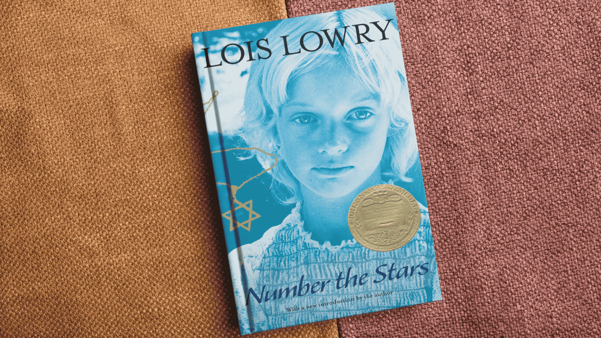 number the stars book summary