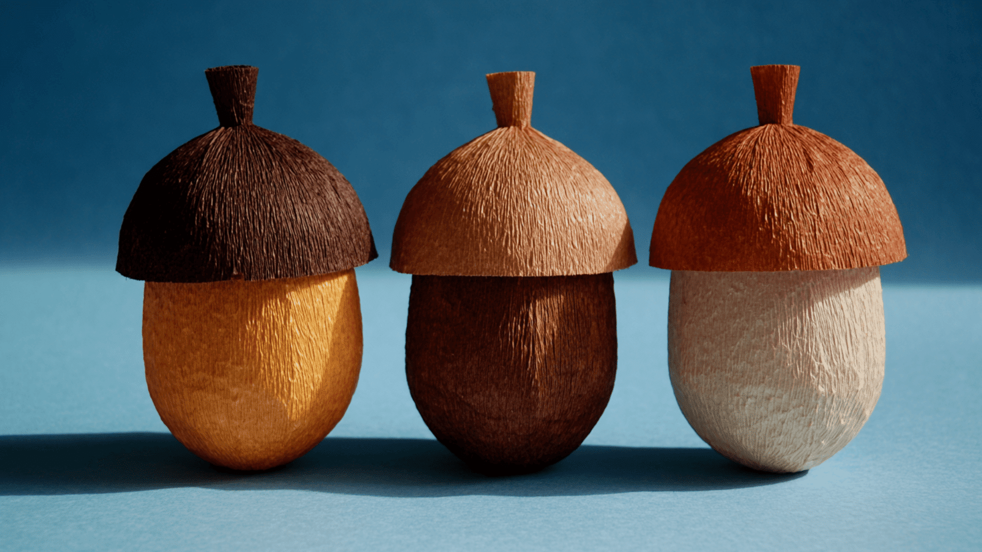 nutty little acorns