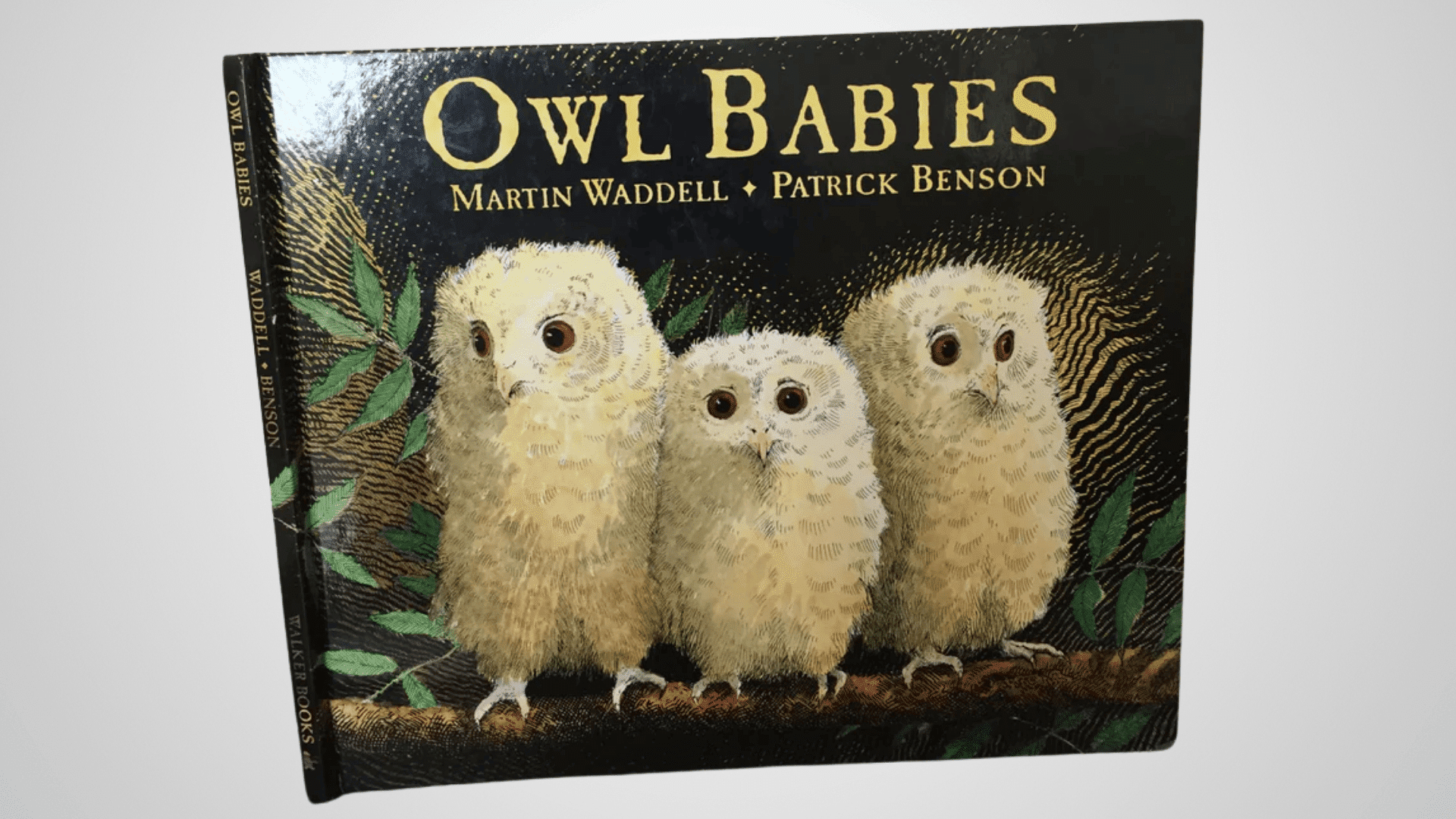 owl babies martin waddell
