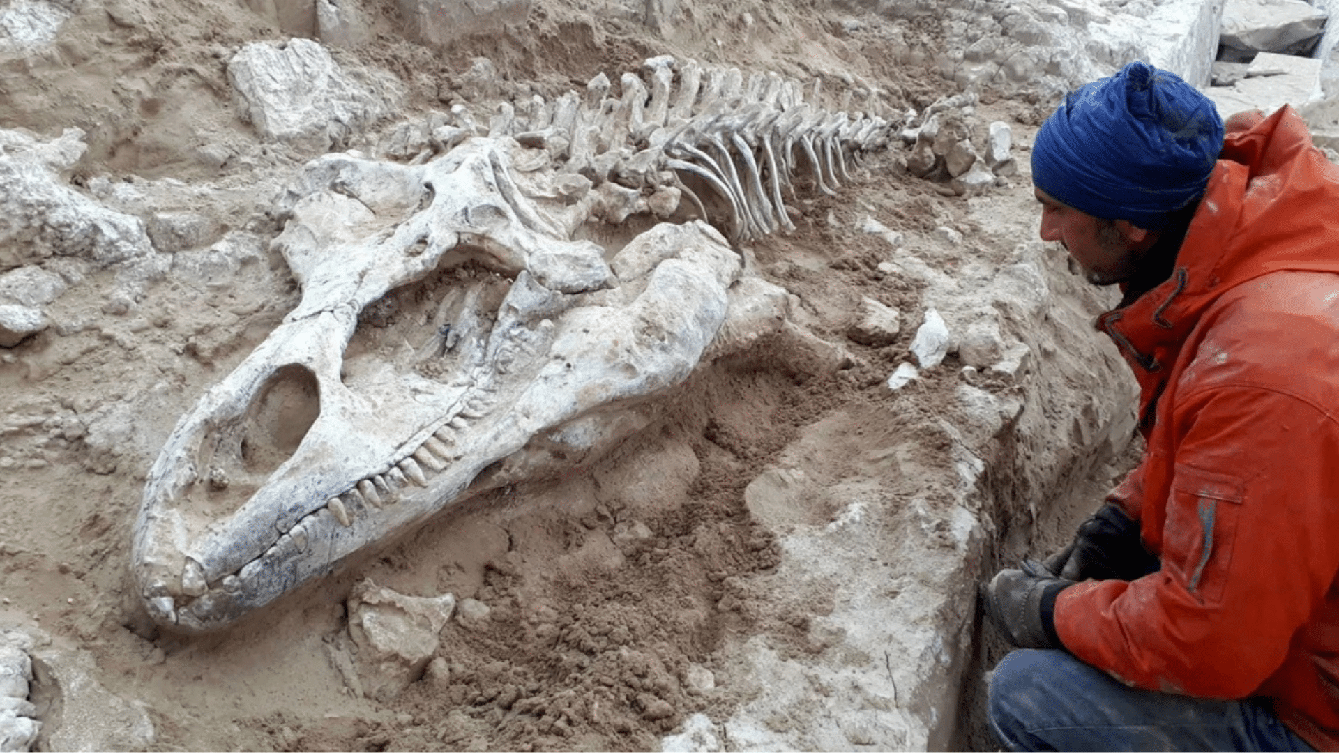 paleontologist