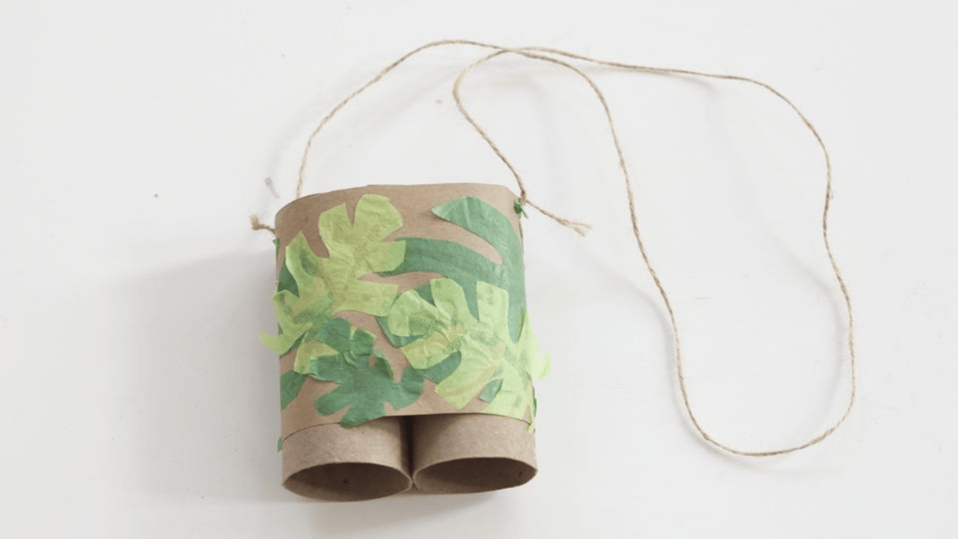 paper towel tube binoculars