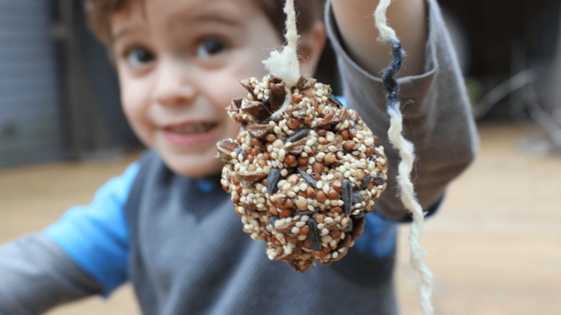pinecone bird feeders