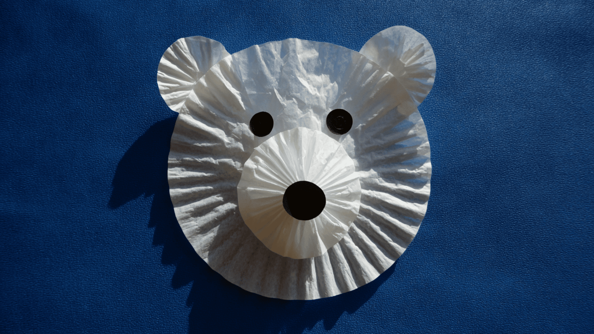 polar bear faces
