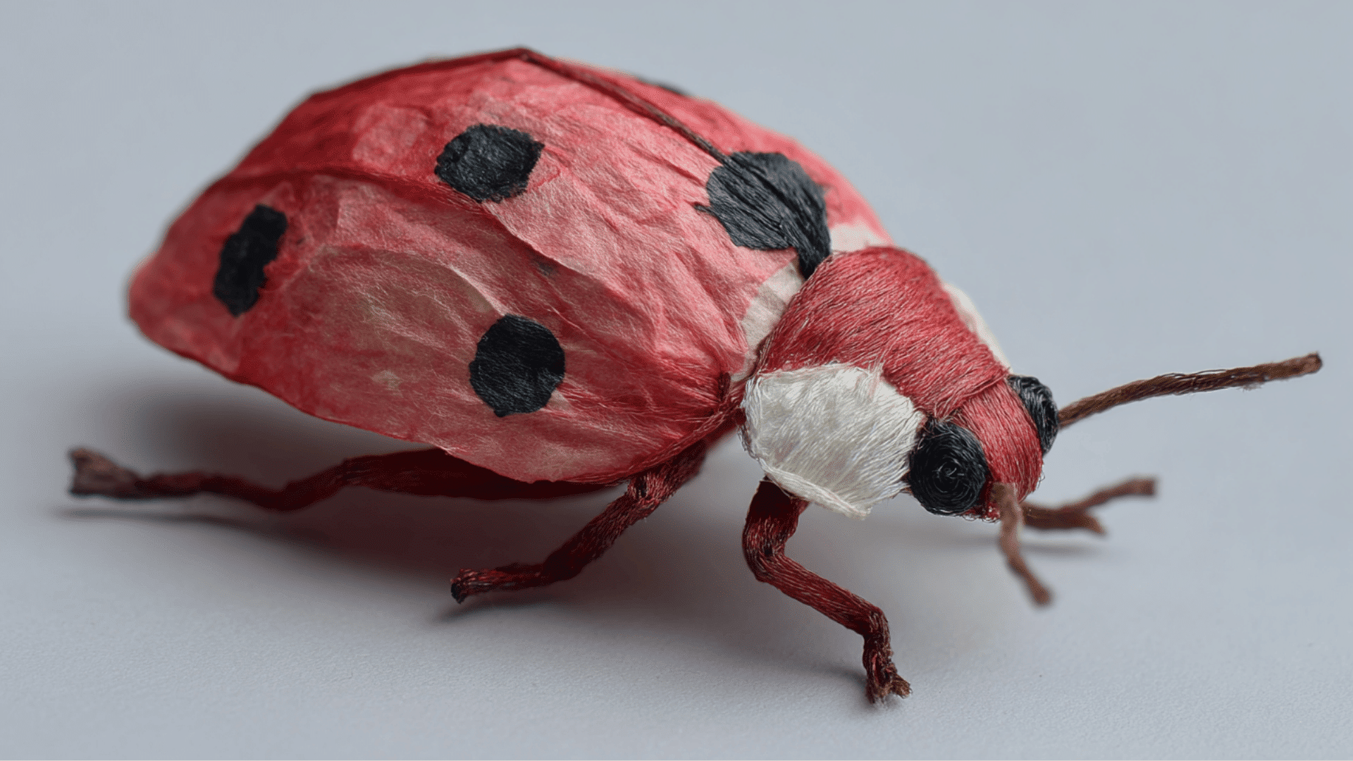 spotted red ladybugs