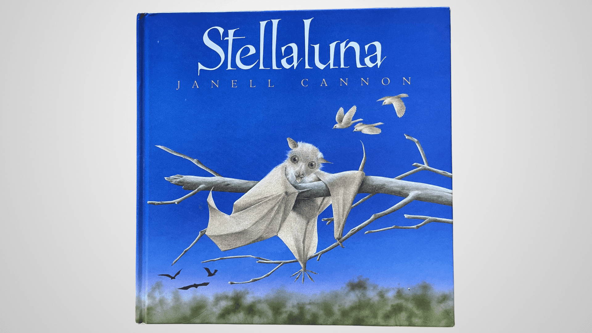stellaluna janell cannon
