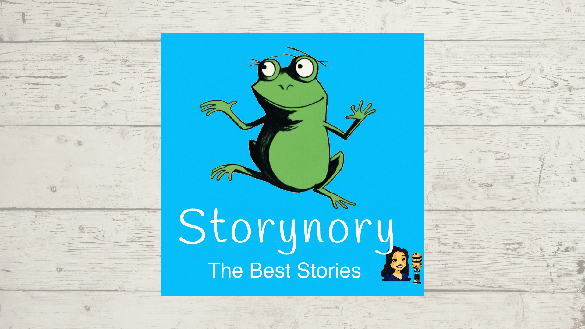 sturynory audiobook
