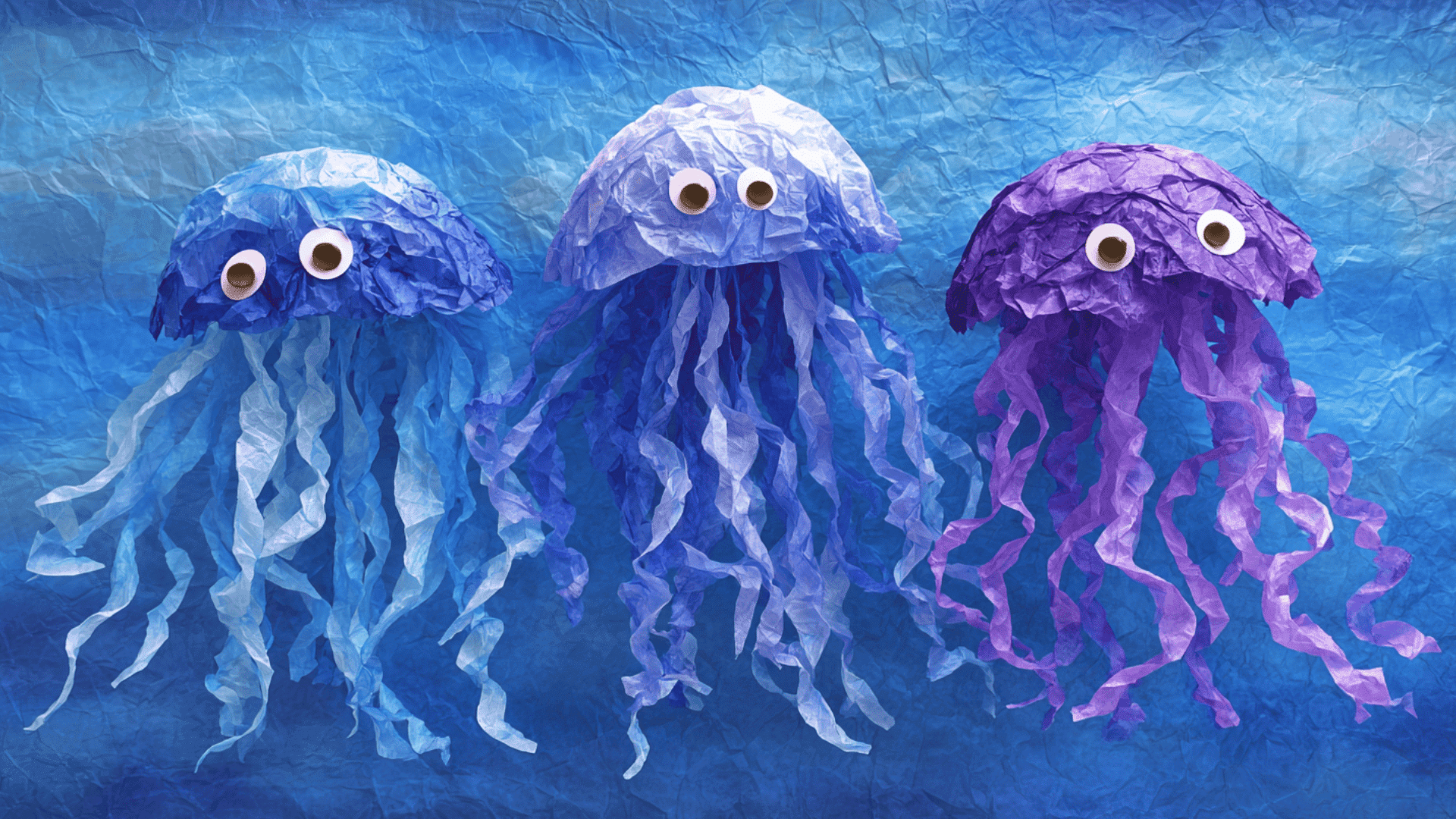 undersea jellyfish