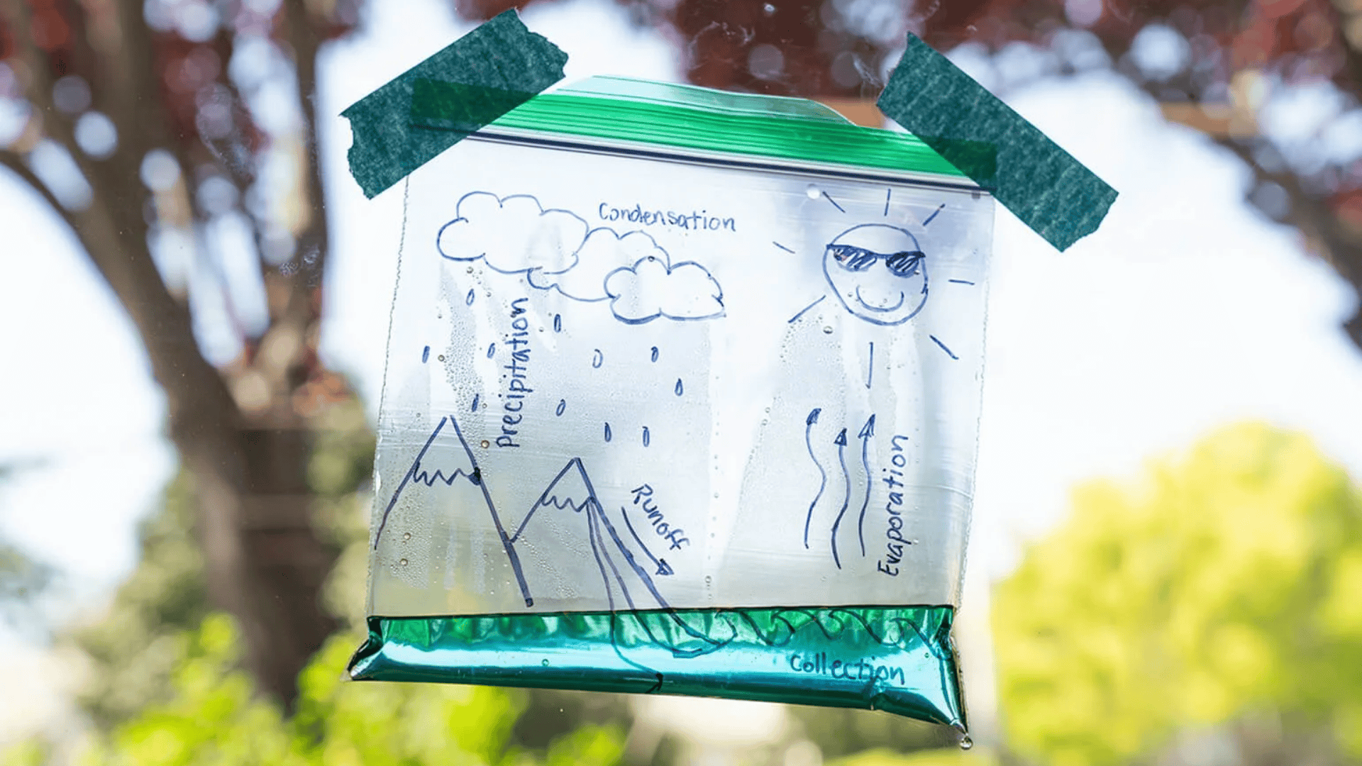 water cycle in a bag