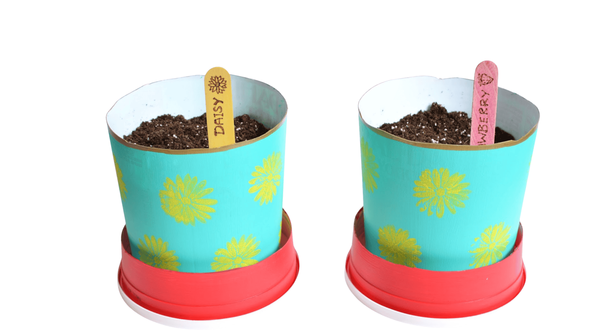 yogurt cup planters