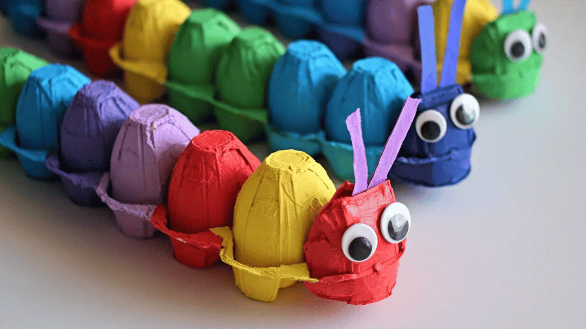 egg carton funny art