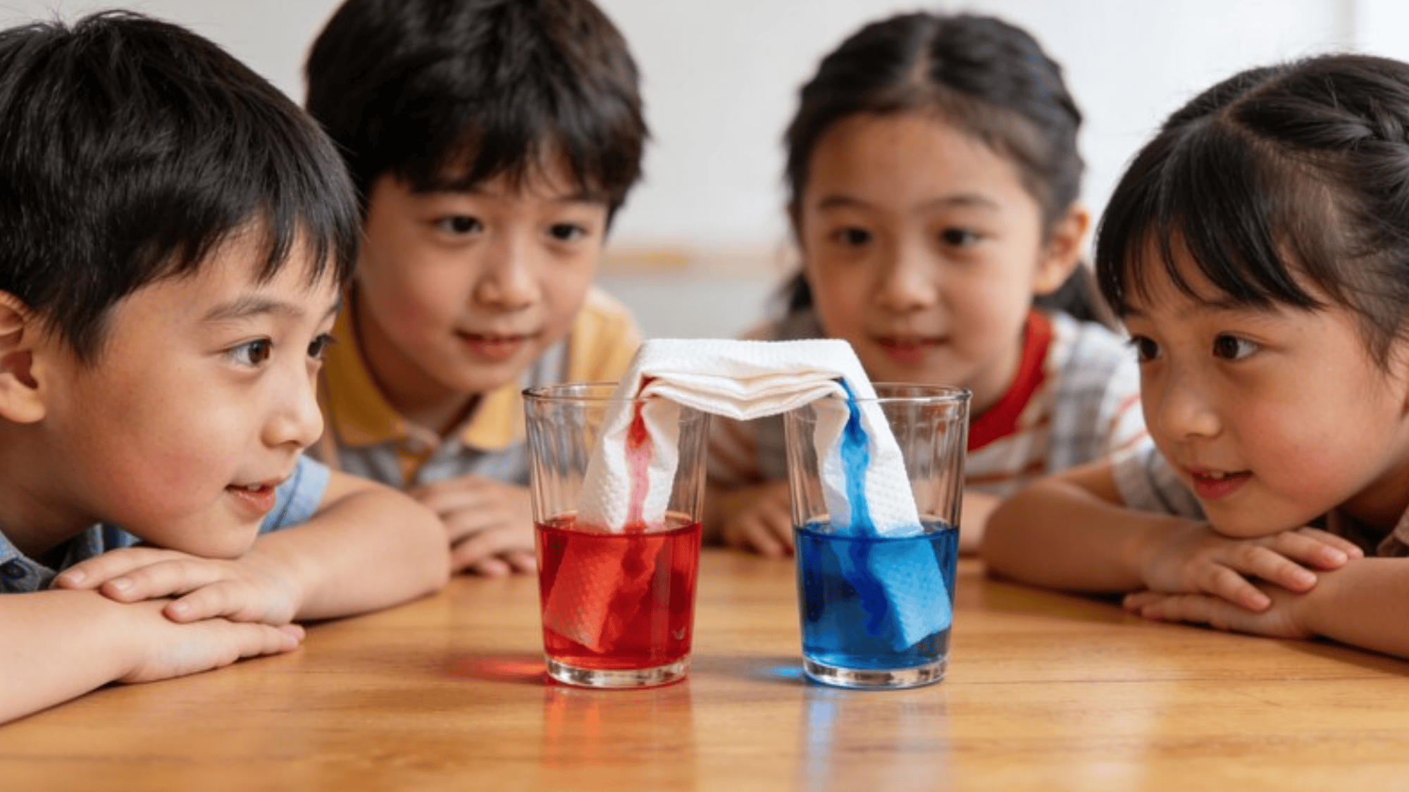 kids observing walking water experiment colored water traveling through folded paper towels between two glasses
