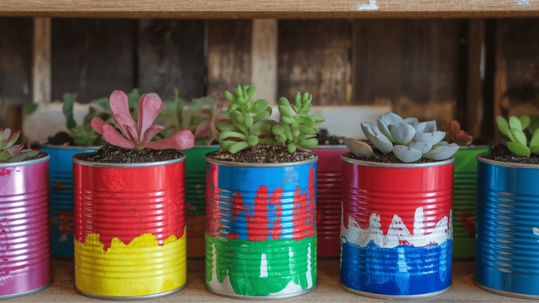 tin can planters