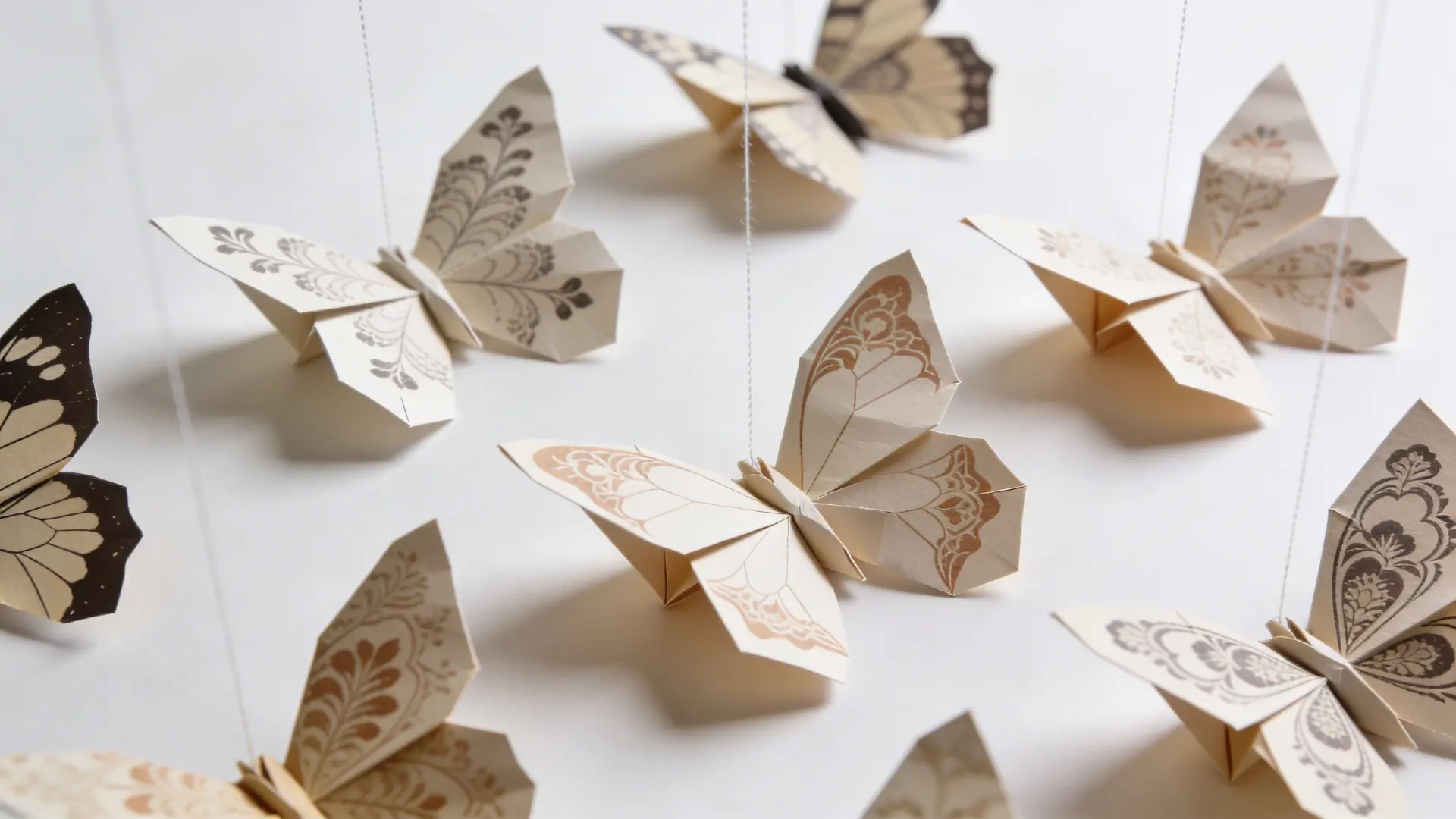 Folded paper butterflies with decorated wings arranged for display