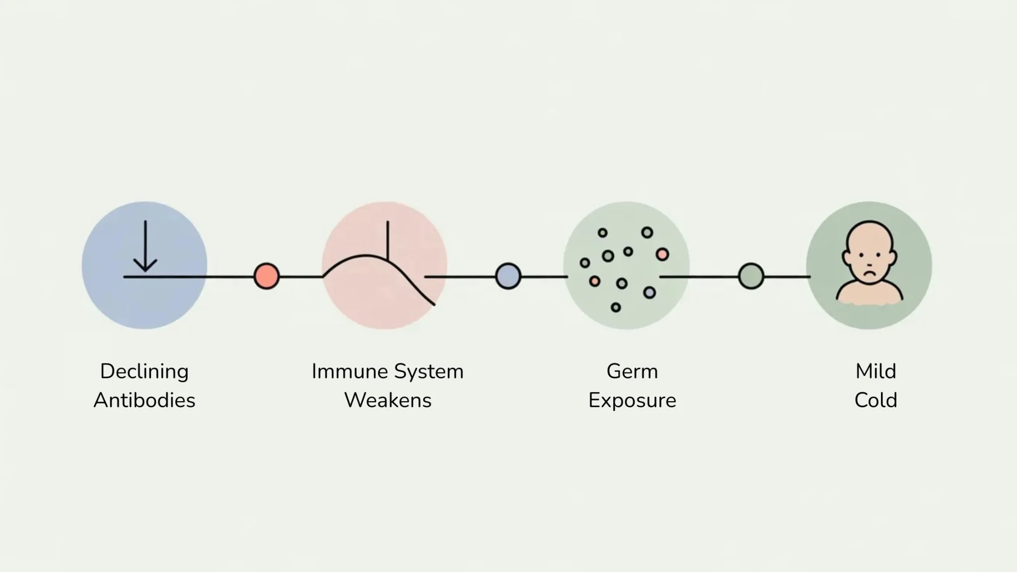 Infographic showing why teething and runny nose happen at the same time in babies