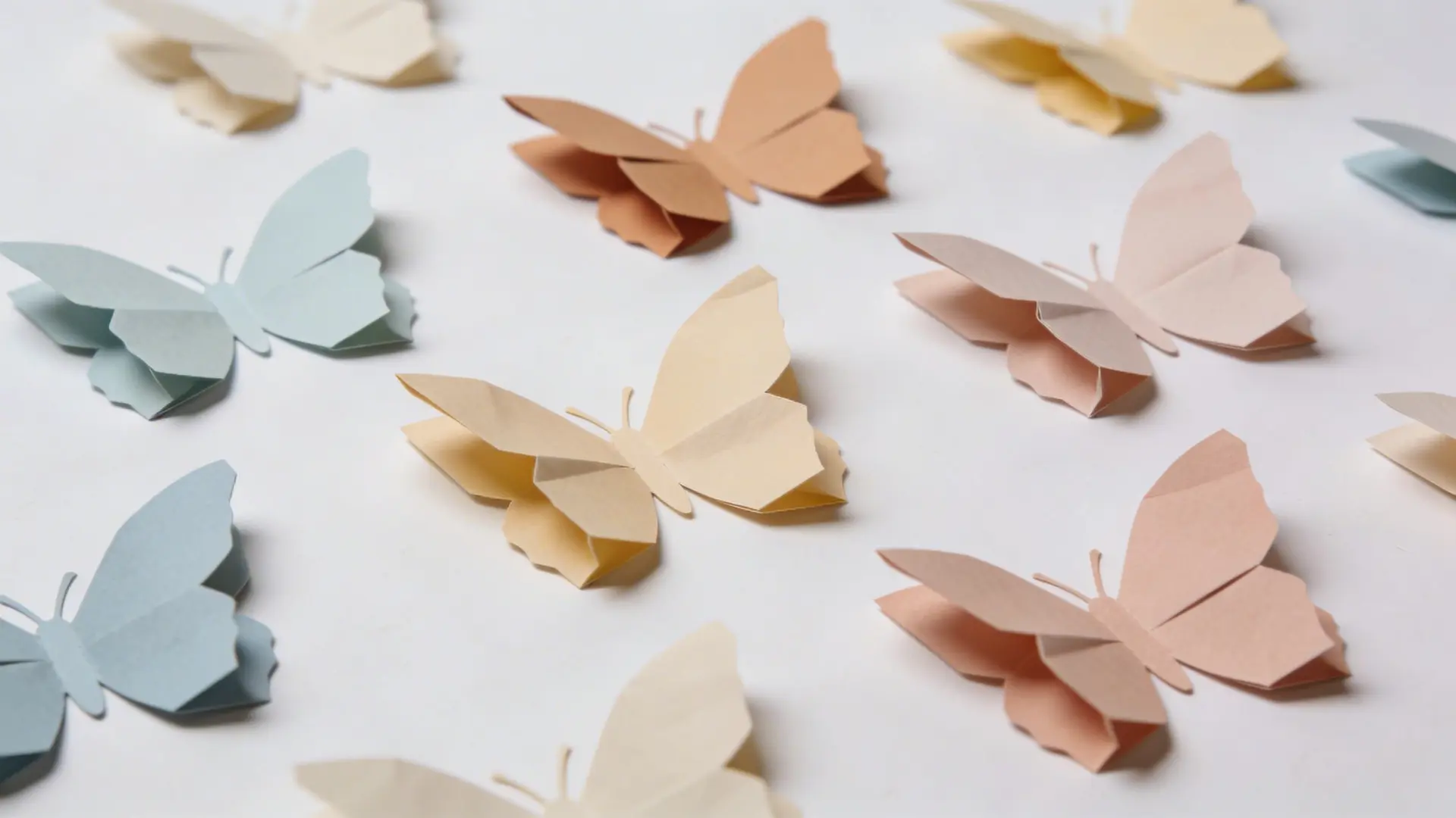 Paper butterfly cutouts with folded wings arranged for display