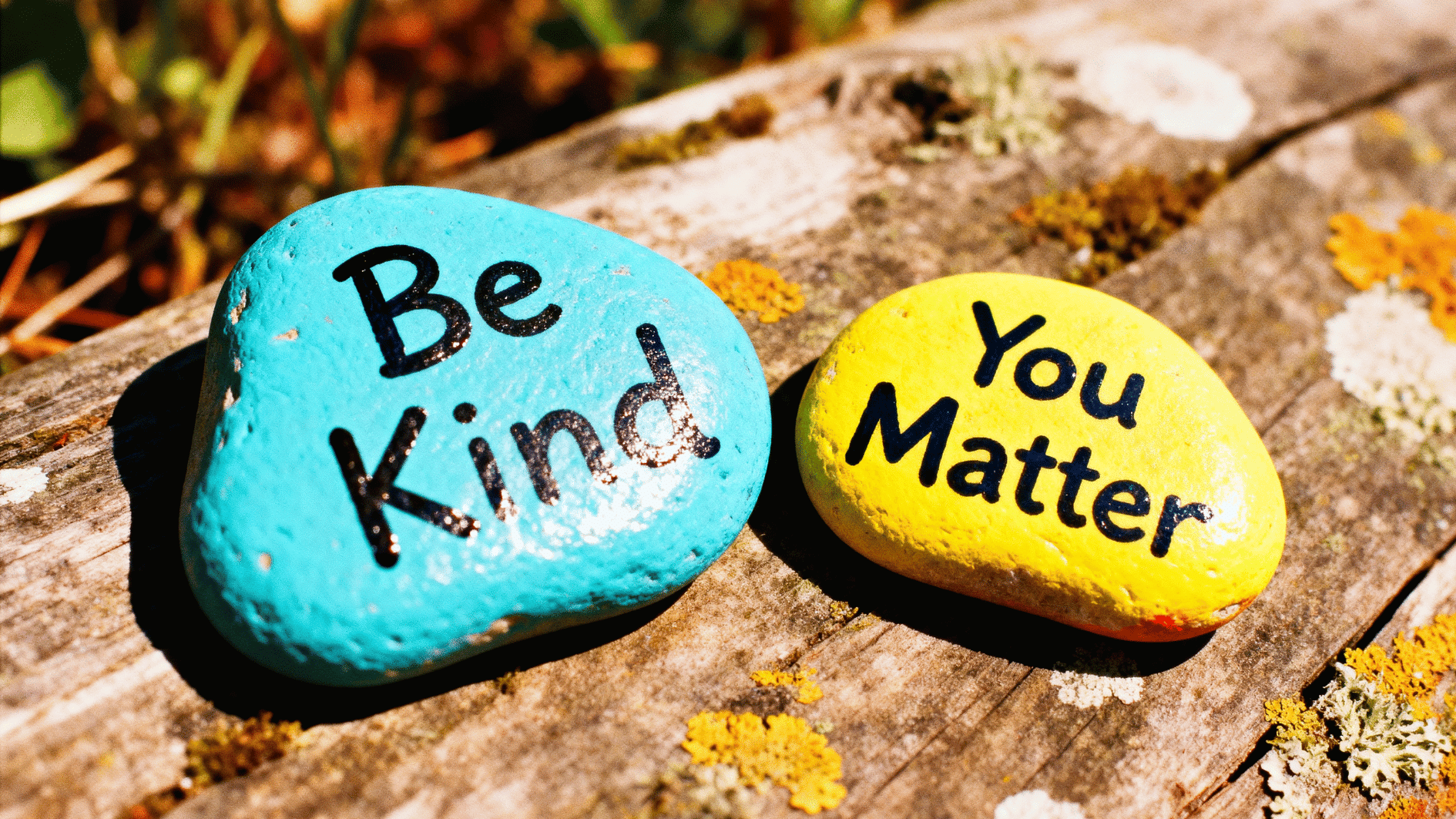 two painted rocks on wood read “be kind” and _you matter,” conveying positivity and encouragement in a natural outdoor setting