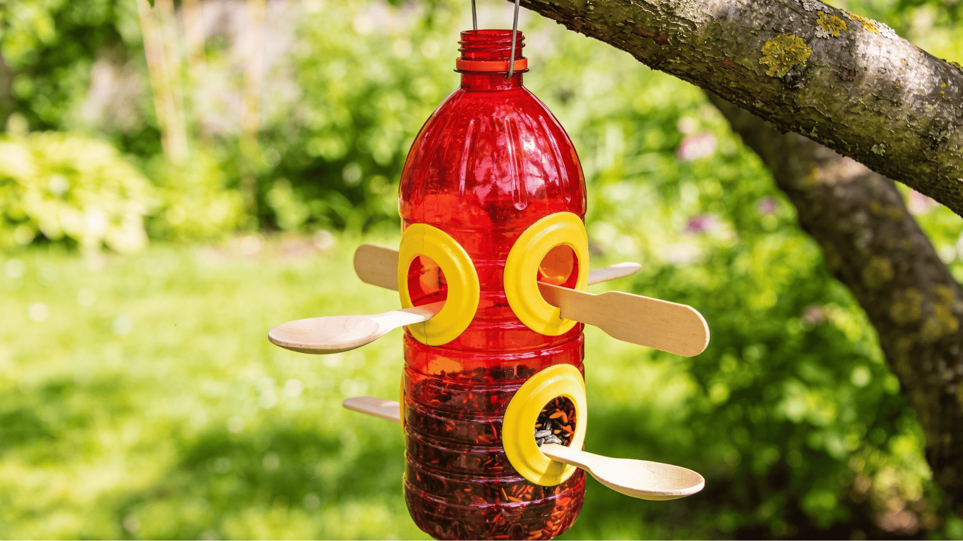 painted plastic bottle bird feeder with wooden spoon perches hanging from a tree branch in a garden