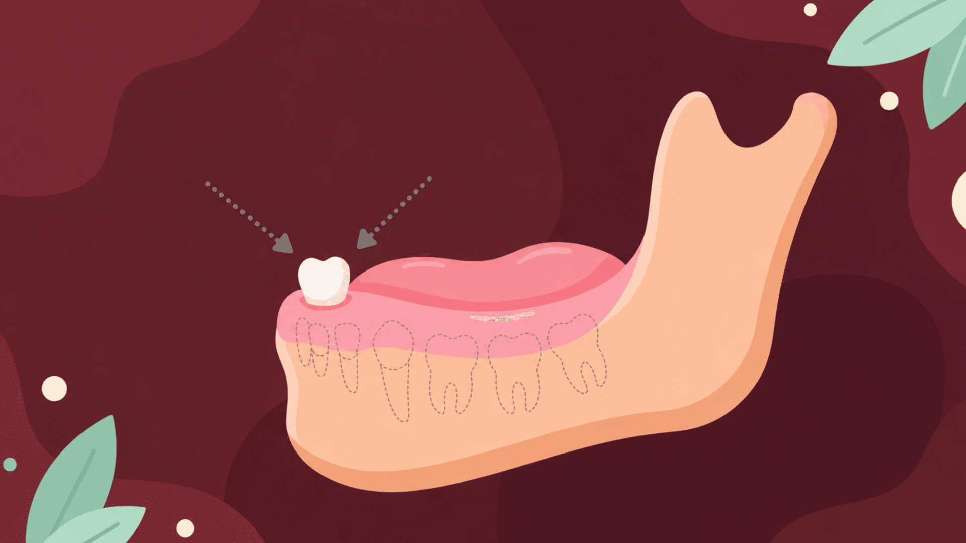 first baby tooth emerging from the gums in a cartoon jaw illustration showing early teething stage