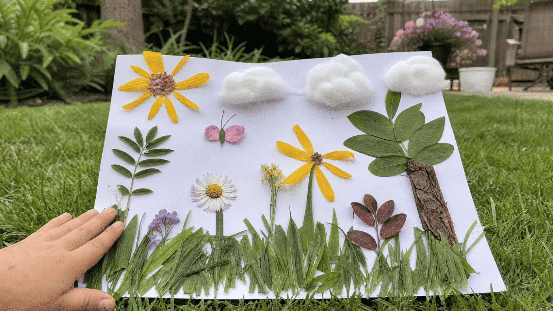 kids spring nature collage with real flowers leaves and grass on white paper in american backyard