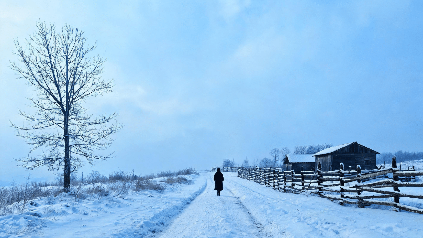 snowy winter landscape with tree fence and cabin
