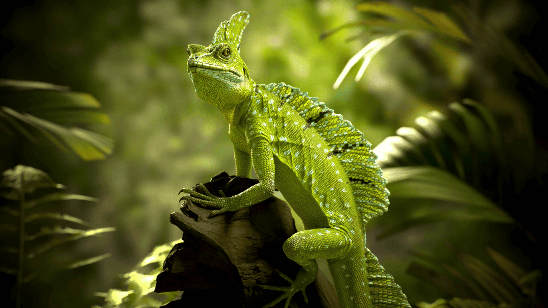 bright green basilisk lizard perched on branch, spiny crest and textured scales visible in sunlit tropical foliage