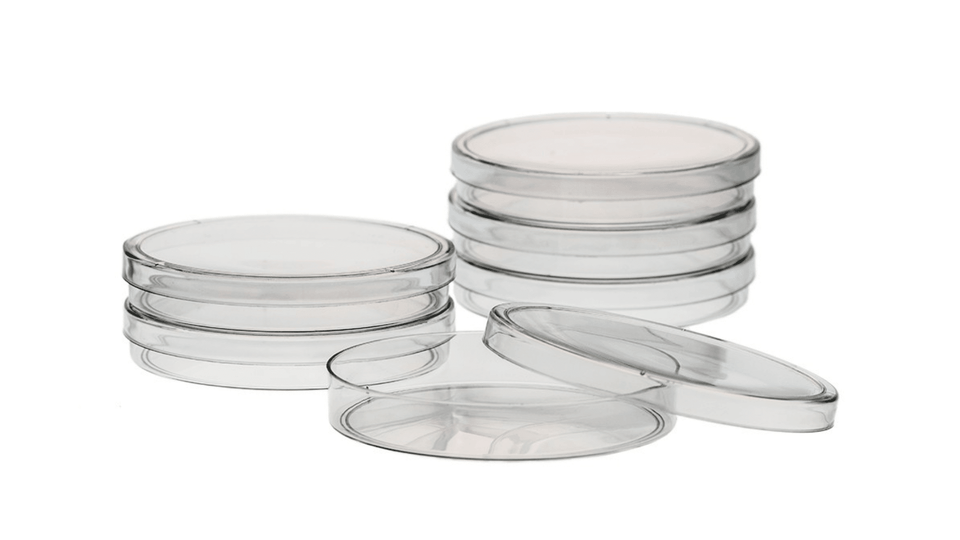 stack of clear petri dishes used for culturing microorganisms